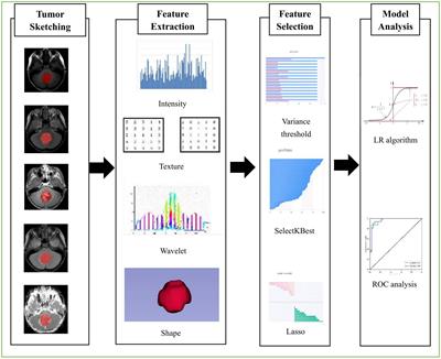 Preoperative prediction of sonic hedgehog and group 4 molecular subtypes of pediatric medulloblastoma based on radiomics of multiparametric MRI combined with clinical parameters